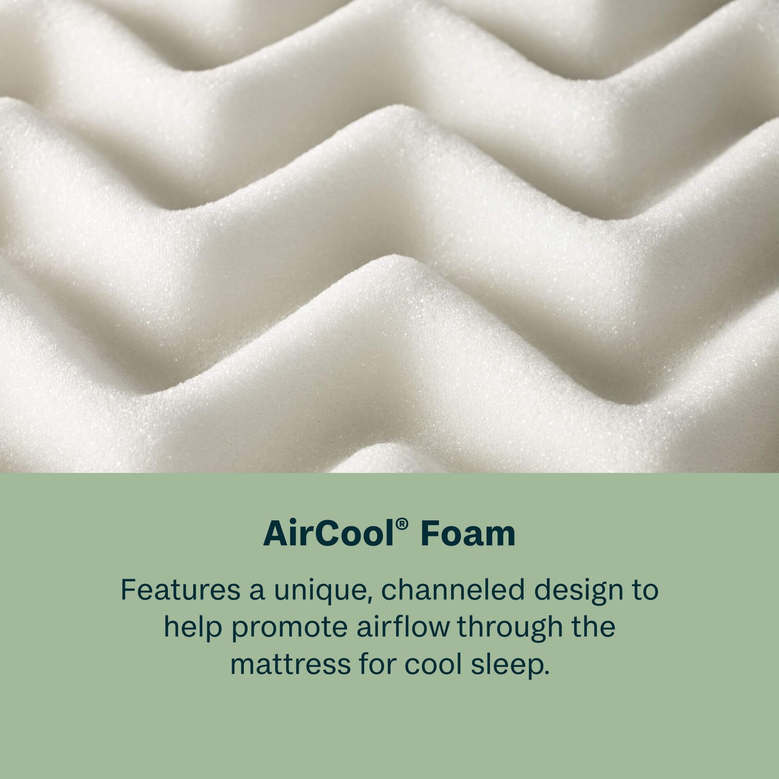 BeautySleep Firm - Image 4