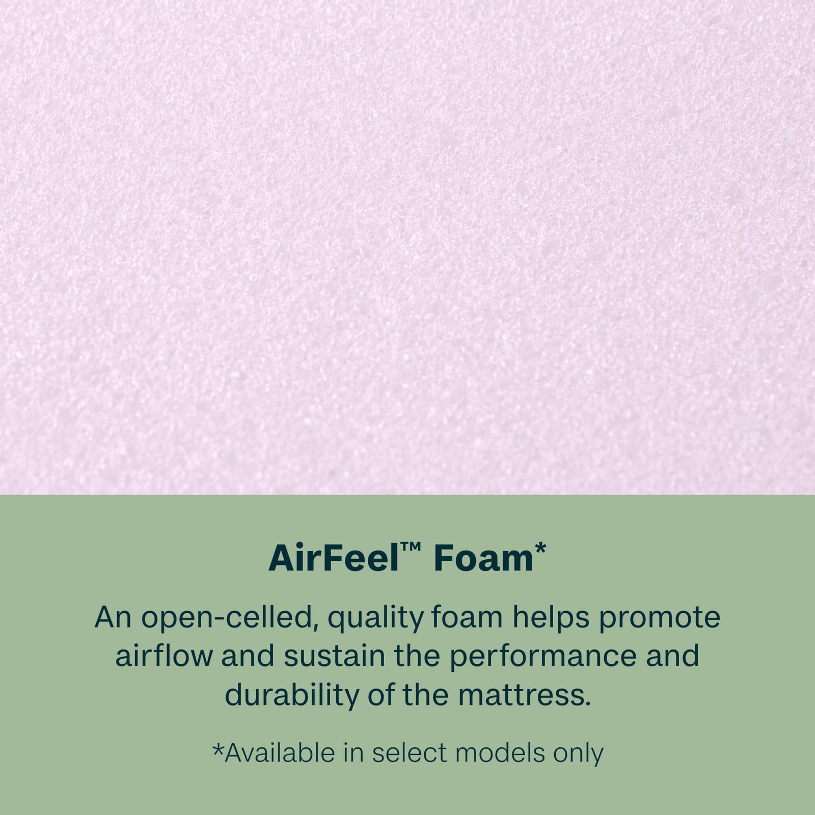 BeautySleep Ultra Plush Pillow Top - Image 5