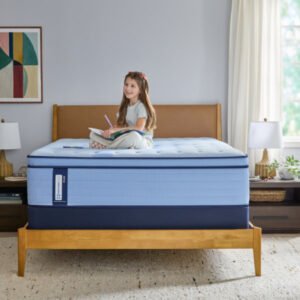 Sealy Hartsgrove Soft EPT